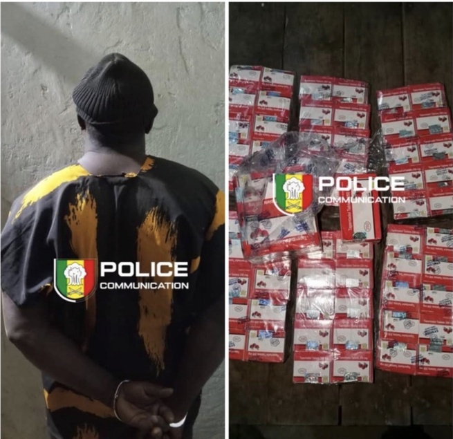 Démantèlement d'un réseau de trafic de produits psychotropes à Bantaco par la BRS de Kédougou Démantèlement d'un réseau de trafic de produits psychotropes à Bantaco par la BRS de Kédougou