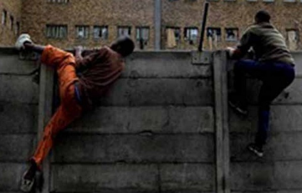 Evasion à Koutal : « Deux Boy Djinné » dans la nature Evasion à Koutal : « Deux Boy Djinné » dans la nature