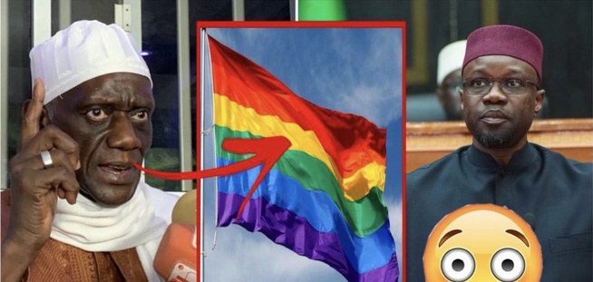 VIDEO - Mame Makhtar Guèye Jamra a réagi fermement aux déclarations de Ousmane Sonko, ce mardi, à l’Assemblée nationale.