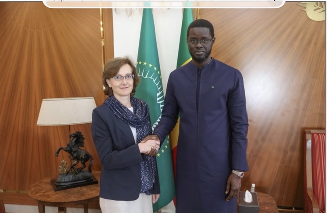 L'ONG Mercy Ships annonce le retour régulier de ses navires-hôpitaux à Dakar L'ONG Mercy Ships annonce le retour régulier de ses navires-hôpitaux à Dakar