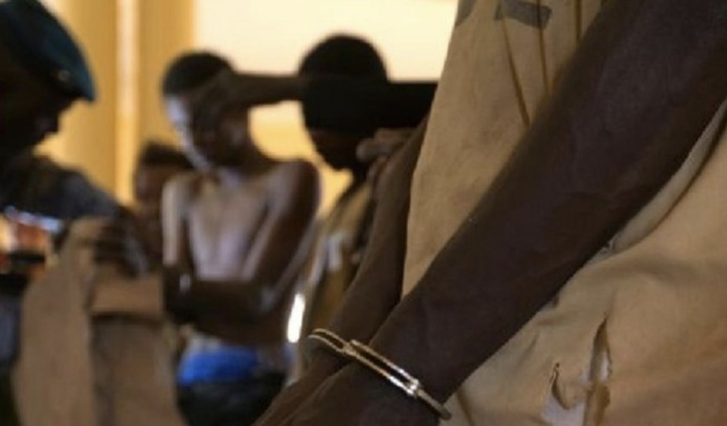 Saint-Louis : un nouveau réseau de présumés homosexuels démantelé, trois arrestations Saint-Louis : un nouveau réseau de présumés homosexuels démantelé, trois arrestations