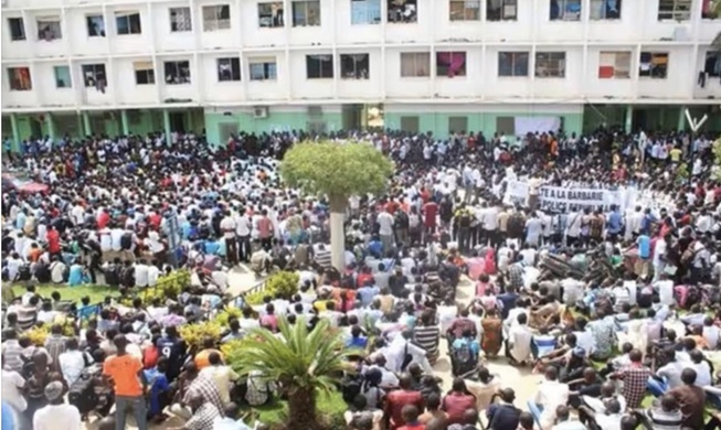Grève illimitée à l’Université Sine-Saloum : les étudiants de Kaffrine et Khelcom dénoncent leurs conditions d’apprentissage Grève illimitée à l’Université Sine-Saloum : les étudiants de Kaffrine et Khelcom dénoncent leurs conditions d’apprentissage