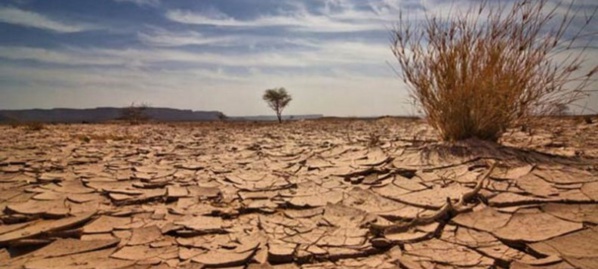 Changement climatique : Le Dg de l’Anacim prône une "approche globale" Changement climatique : Le Dg de l’Anacim prône une "approche globale"