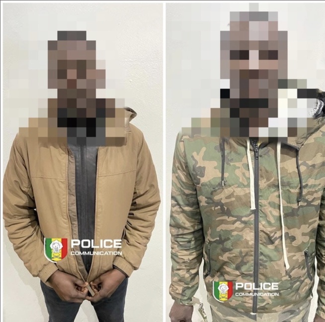 Interpellation de deux individus, pour escroquerie au visa Schengen et faux en écritures