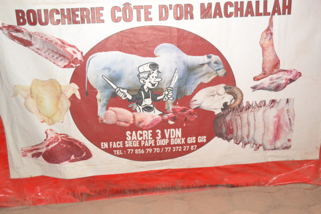 Boucherie Cote d'Or: Achetez de la viande de mouton, veau, boeuf, et gagnez le nouveau album de Youssou Ndour "Senegal Rek" Boucherie Cote d'Or: Achetez de la viande de mouton, veau, boeuf, et gagnez le nouveau album de Youssou Ndour "Senegal Rek"