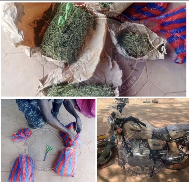 Quatre kilogrammes de chanvre indien et une moto saisis à Médina Yoro Foulah Quatre kilogrammes de chanvre indien et une moto saisis à Médina Yoro Foulah