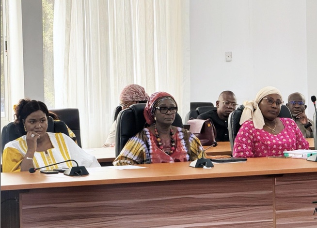 Modification de l’article 319 du Code pénal : Un projet de loi adopté en commission technique Modification de l’article 319 du Code pénal : Un projet de loi adopté en commission technique