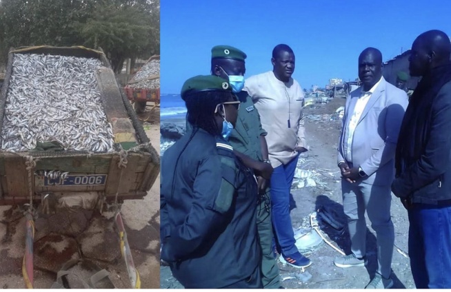 Nous ne tolérerons plus » : Le message musclé du ministère des Pêches après des saisies records