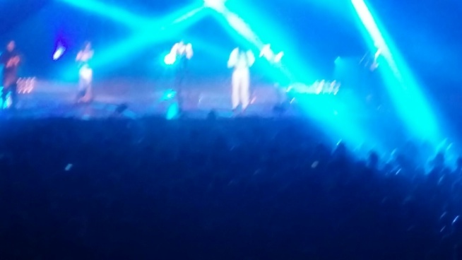 Concert Fada Freedy, le Zenith de paris plein à craquer.
