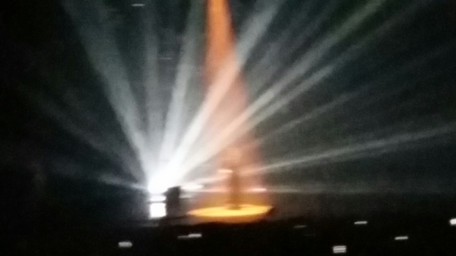 Concert Fada Freedy, le Zenith de paris plein à craquer.