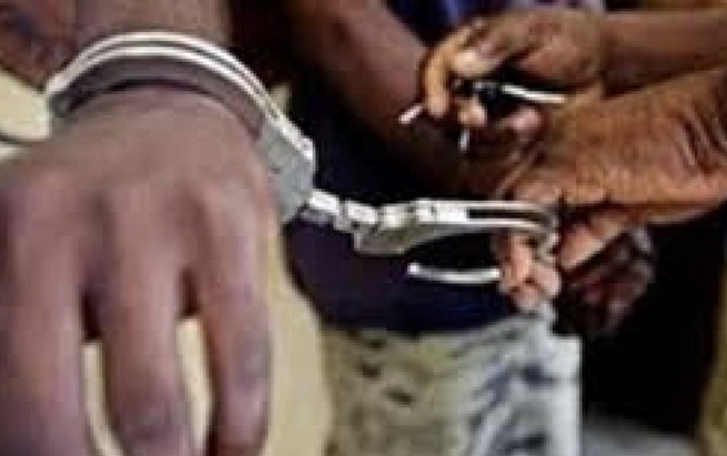 Bignona : Un réseau de voleurs de poivre démantelé, un butin de 5 millions de FCFA en jeu !