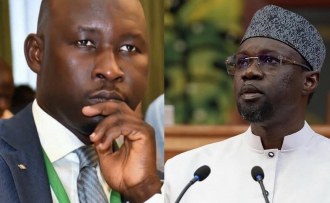 Diplomatie : « Le PM n'a aucune qualité à... », la nouvelle charge de Mayoro Diop contre Sonko