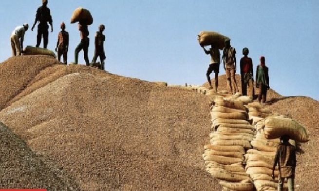 Campagne agricole : « Deux mois sans être payés », le cri de détresse des opérateurs à Kaolack Campagne agricole : « Deux mois sans être payés », le cri de détresse des opérateurs à Kaolack