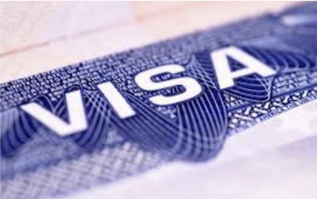 Senevisa.com : Une fausse plateforme en ligne piège les demandeurs de visa, le ministère réagit Senevisa.com : Une fausse plateforme en ligne piège les demandeurs de visa, le ministère réagit