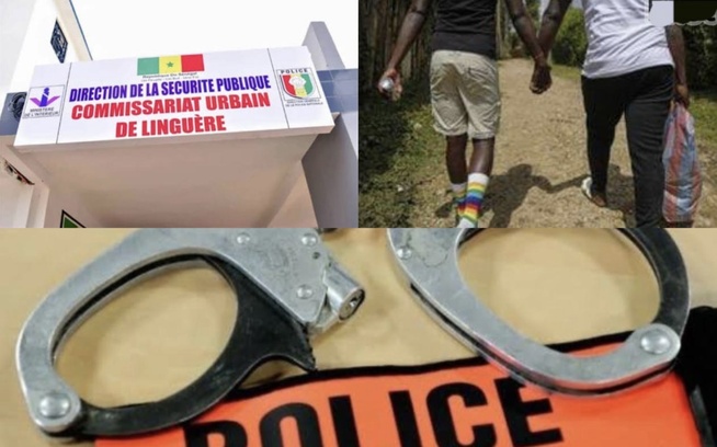 18 présumés homosexuels tombent à Linguère : Le fils d’un célèbre marabout dans le filet, révélations sulfureuses