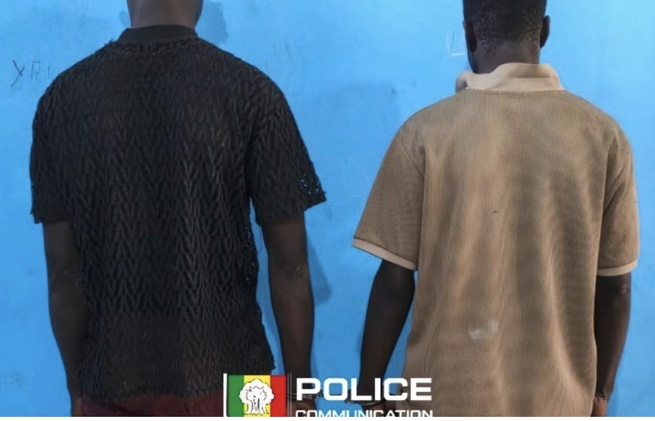 Trahis par les caméras : Les voleurs de batteries de Jaxaay et Niacourab tombent dans les filets de la police Trahis par les caméras : Les voleurs de batteries de Jaxaay et Niacourab tombent dans les filets de la police