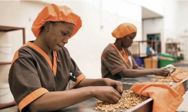 GUICHETS DE FINANCEMENT DÉDIÉS AUX PME : Une efficacité en question