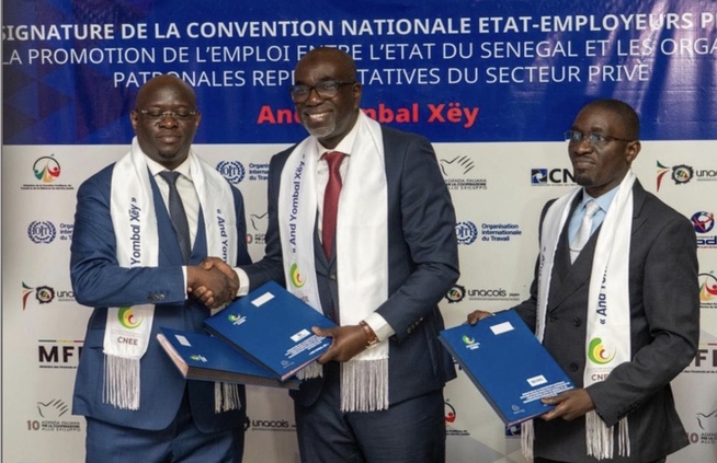 Sénégal : l’État et le patronat relancent un levier stratégique pour l’emploi des jeunes Sénégal : l’État et le patronat relancent un levier stratégique pour l’emploi des jeunes