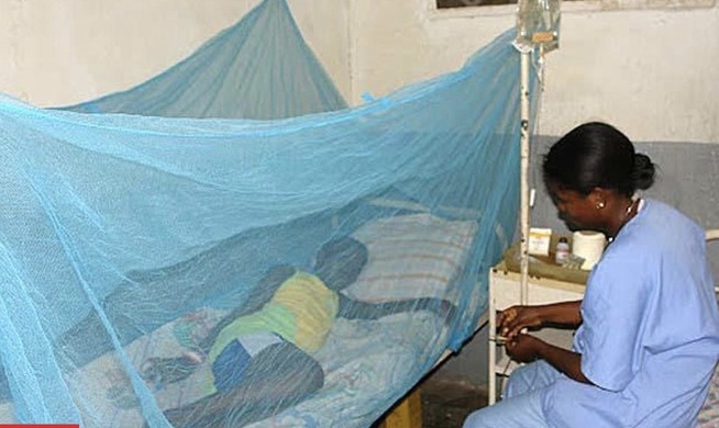 Paludisme au Sénégal : 92,4 % des districts sanitaires déjà en phase de pré-élimination