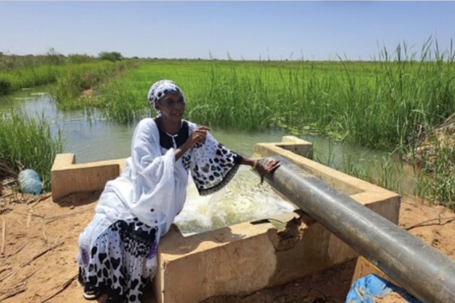 La FAO érige le Sénégal en modèle de gouvernance de l’eau pastorale La FAO érige le Sénégal en modèle de gouvernance de l’eau pastorale