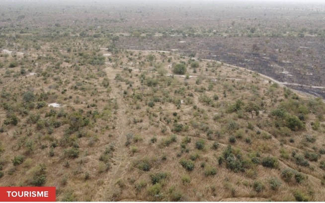 Safari : Ce projet titanesque qui promet de booster le tourisme de 21 %, mais qui attend le feu vert de l'État