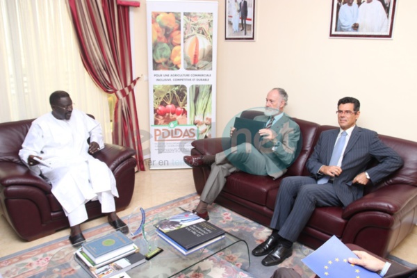 Création de fermes agricoles "Natangués" : L'État du Sénégal et l'Union européenne tablent sur près de 14 milliards Création de fermes agricoles "Natangués" : L'État du Sénégal et l'Union européenne tablent sur près de 14 milliards