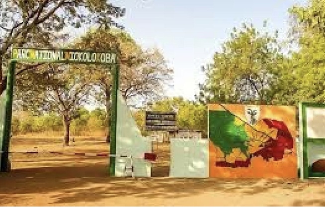 Accident de la circulation dans le Parc National de Niokolo Koba : 03 morts et 19 blessés