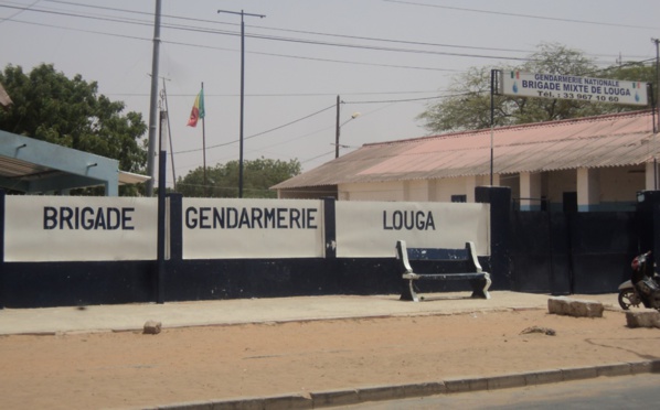 Louga: trois dealers de chanvre indien, tombent ! Louga: trois dealers de chanvre indien, tombent !