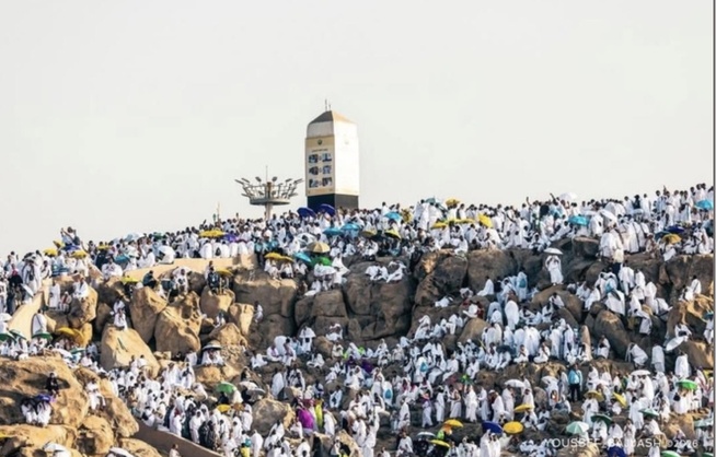 Hajj 2026 : Arafat accueille des milliers de pèlerins dans une intense ferveur spirituelle Hajj 2026 : Arafat accueille des milliers de pèlerins dans une intense ferveur spirituelle