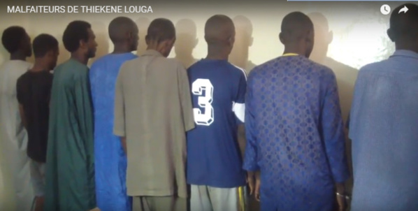Banditisme à Louga : 11 personnes interpellées dont trois femmes, deux fugitifs recherchés Banditisme à Louga : 11 personnes interpellées dont trois femmes, deux fugitifs recherchés