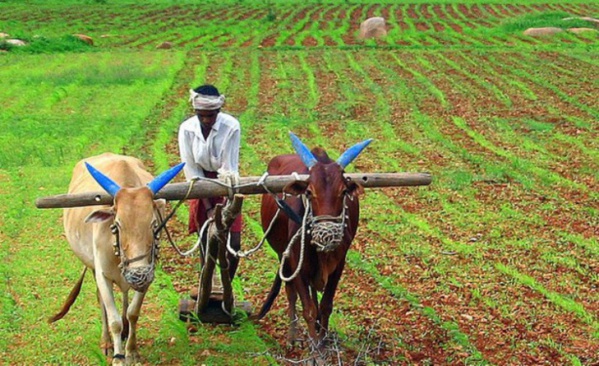 Projet écovillages : Le modèle sénégalais inspire le Burkina Faso Projet écovillages : Le modèle sénégalais inspire le Burkina Faso