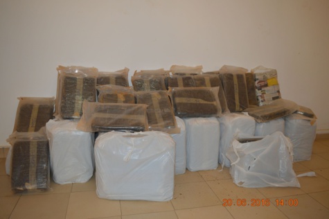 Trafic de chanvre indien : Deux dealers, dont une femme, arrêtés à Yoff et Sandaga avec 220 kg de "Brown" Trafic de chanvre indien : Deux dealers, dont une femme, arrêtés à Yoff et Sandaga avec 220 kg de "Brown"