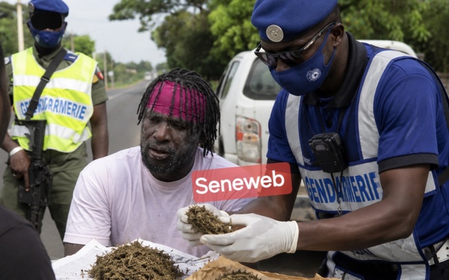 Détention de drogue : le lutteur Coly Faye 2 arrêté par la gendarmerie avant son combat contre « Petit Lô »