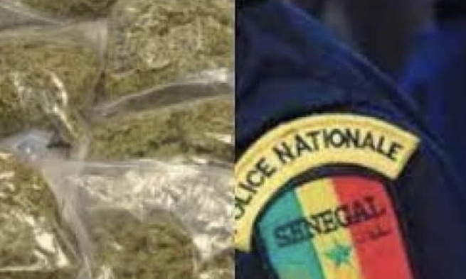 Détention de drogue : Le fils d'un nouveau ministre arrêté par la police de Sicap-Mbao