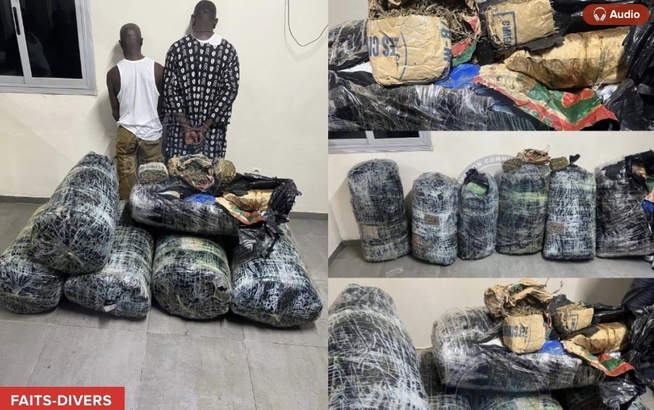 Plus de 300 kg de drogue saisis à Thiaroye : deux dealers arrêtés par la BR de Keur Massar