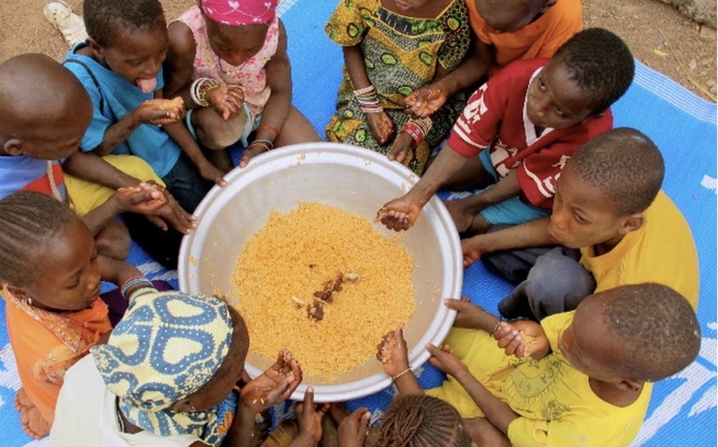 Selon la FAO, 309 millions d'Africains souffrent encore de la faim malgré des progrès historiques