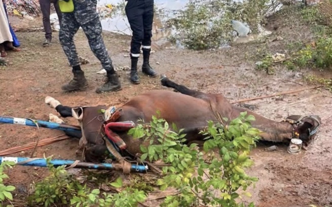 Drame de l'hivernage à Latmingué : Un homme meurt noyé après une chute de sa charrette
