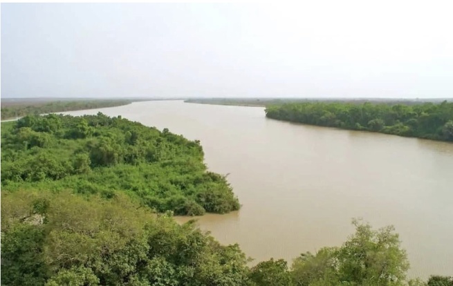 Fleuve Gambie : le niveau d’eau reste sous contrôle, la vigilance verte maintenue dans tout le bassin.