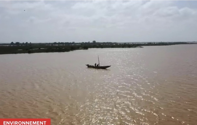 Fleuve Gambie : des niveaux d’eau globalement stables, aucune alerte de crue dans le bassin de Kédougou.