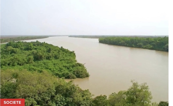 Fleuve Gambie : Le niveau d’eau poursuit sa baisse, aucune menace de crue à ce stade