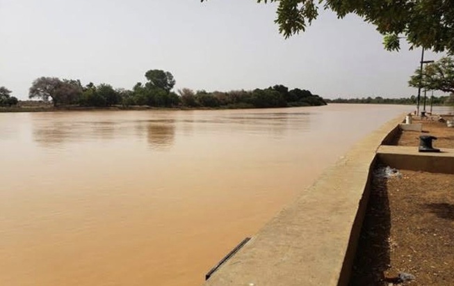 Situation hydrologique du fleuve Sénégal : Une hausse de 8 cm en 24 heures Situation hydrologique du fleuve Sénégal : Une hausse de 8 cm en 24 heures