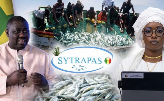 Pêche : Le SYTRAPAS salue les mesures sociales d’Amy Mara Pêche : Le SYTRAPAS salue les mesures sociales d’Amy Mara