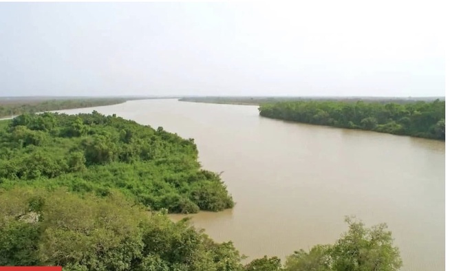 Fleuve Gambie : la situation hydrologique reste globalement sous contrôle