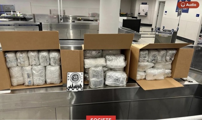 Aéroport de Chicago : Plus d'un demi-tonne de khat saisie sur trois passagers venus du Sénégal ! Aéroport de Chicago : Plus d'un demi-tonne de khat saisie sur trois passagers venus du Sénégal !