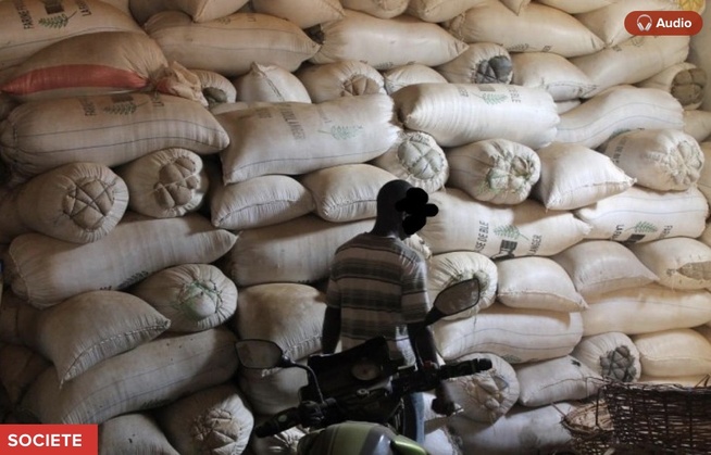 363 millions F CFA en denrées volés : la mafia est coincée à Touba Ndamatou, deux suspects cueillis en Guinée-Bissau 363 millions F CFA en denrées volés : la mafia est coincée à Touba Ndamatou, deux suspects cueillis en Guinée-Bissau
