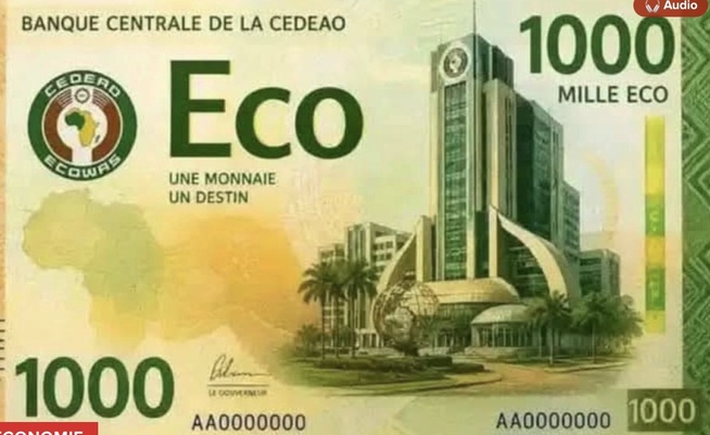 La CEDEAO accélère le processus de lancement de sa monnaie, l'ÉCO
