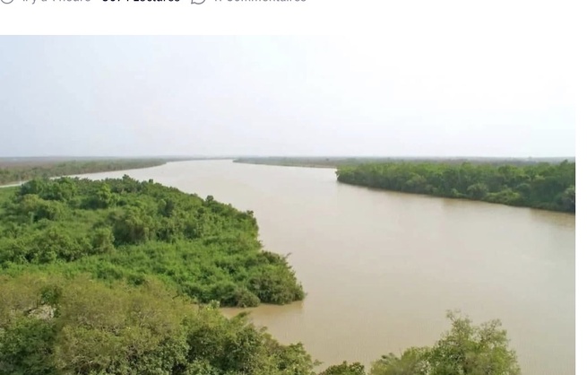 Fleuve Gambie : le niveau monte à Kédougou, mais reste largement sous la cote d’alerte. Fleuve Gambie : le niveau monte à Kédougou, mais reste largement sous la cote d’alerte.