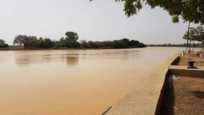 Fleuve Gambie : Forte remontée des eaux à Kédougou, la cote d’alerte se rapproche