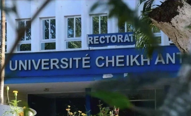 UCAD : trois étudiants obtiennent 5 milliards F CFA, et ce n’est pas au loto