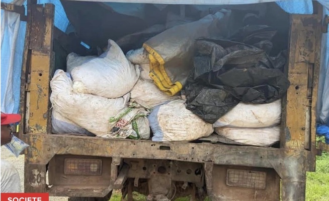 Kédougou : les Douanes saisissent 7,5 tonnes de cyanure dans un réseau de trafic transfrontalier